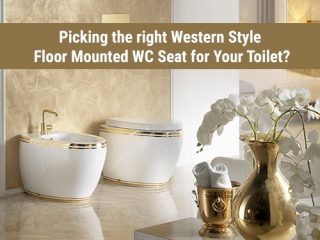 Picking the right Western Style Floor Mounted WC Seat for Your Toilet