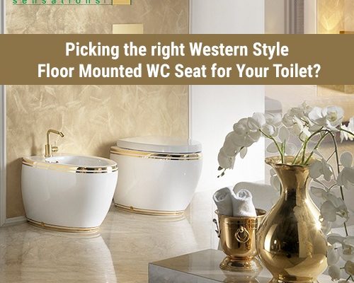 Picking the right Western Style Floor Mounted WC Seat for Your Toilet