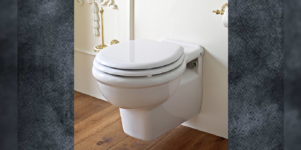 Tips For Selecting the Right Floor Mounted Commode and Toilet Holder